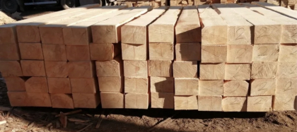 Шпала непропитанная и пропитанная Шпала непропитанная и пропитанная