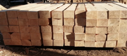 Шпала непропитанная и пропитанная